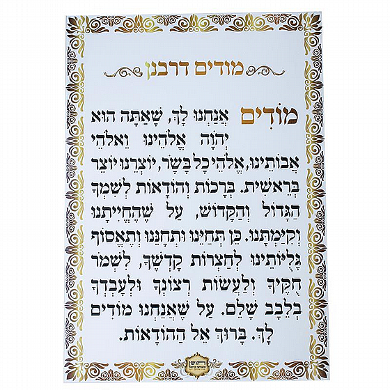 ����� ���� ���� - ����� �����