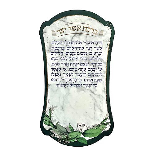 ���� ���� ��� ��� ��� ���� - ����� ����� ������