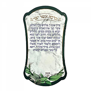 ���� ���� ��� ��� ��� ���� - ����� ����� ������