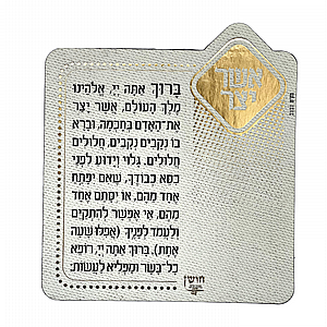 ���� ���� ��� ��� - ����� ����� ������