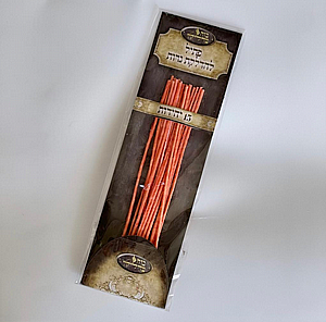 ���� ������ ����