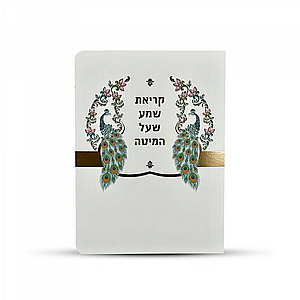 ����� ����� ��� �� ����� ����� ��� ����