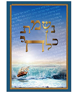 ���� �� �� ���� - ����