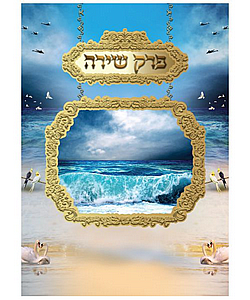 ��� ���� ���� - ������