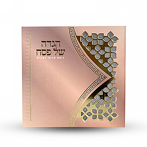 ���� �� ���