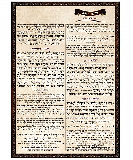 ���� ����� �� ���� ���� - ���