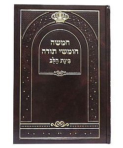 ���� ����� ���� ���� ���� ��� - ���