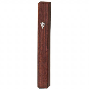 ����� ������ ���� �� - ����� ����� ������