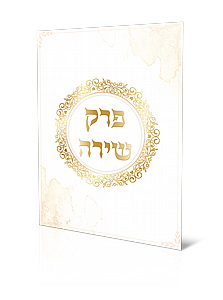 ��� ���� - ��� ���