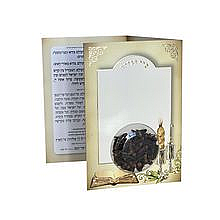 ����� ����� ������