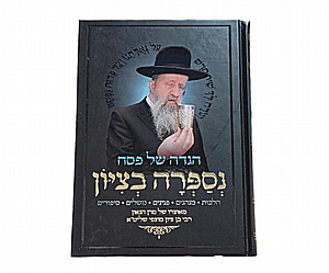 ���� �� ��� ��� �� ���� ����� ����"�