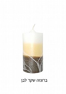 �� ����� ���� ������ ��� ���