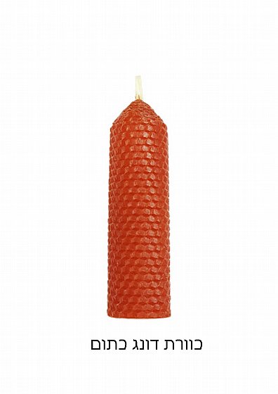 �� ����� ���� ����� ���� ����