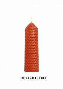 �� ����� ���� ����� ���� ����