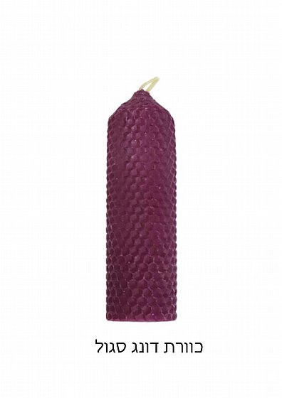 �� ����� ���� ����� ���� ����