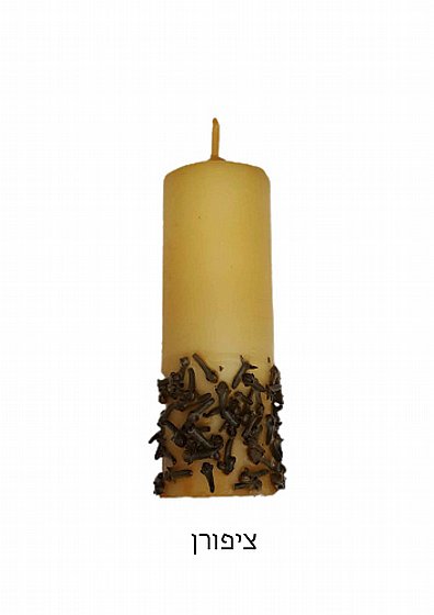 �� ����� ���� ������