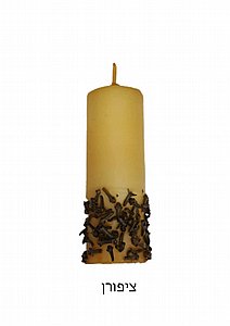 �� ����� ���� ������