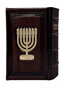 ����� ���� ����� ����� ��� ��� �� �� ���