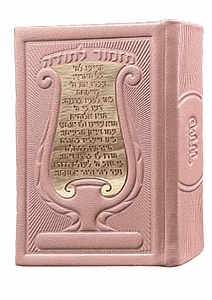 ����� ���� ����� ����� ���� �� �� ���