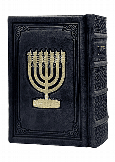 ����� ���� ����� ����� ���� �� �� ���