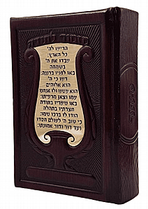 ����� ���� ����� ����� ����� �� �� ���