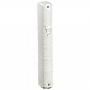 ����� ������ 12 �"� ���