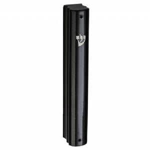 ����� �� ���� ������ ���� ���� ���� 12