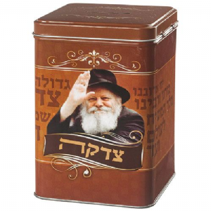 ���� ���� �� ������ "���� �������" 15 �"�