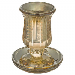 ���� ������ ����� "������" �� ��� 13 �"� ����� 100 �"�