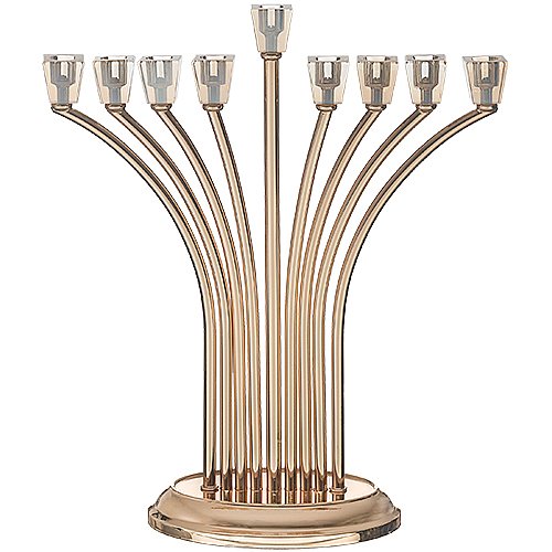 ������� ���� �� ���� ������ ����� ��� 36 ��