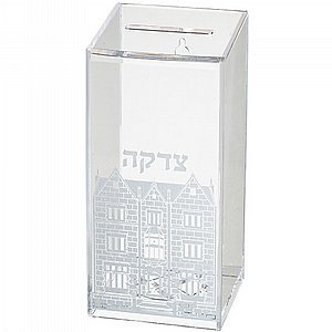 �� ���� ���� ������ "��� ����" 17 �"�