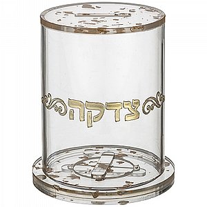 ���� ���� ������ �� ����� - ������ ��� 13 �"�