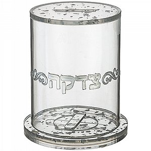 ���� ���� ������ �� ����� - ������ ��� 13 �"�