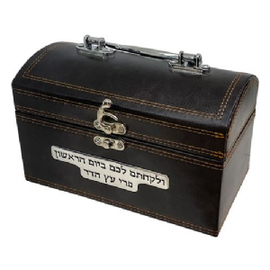 ����� ������ ������ ���� ���