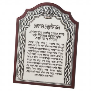 ����� ������ �� ����� ����� ����