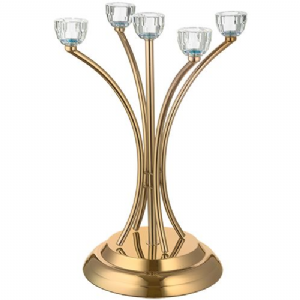 ���� ���� 5 ����