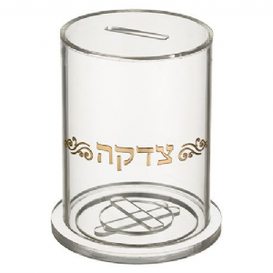 ���� ���� ������� ���� 12.5*10.5 �"�