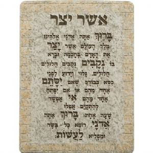 ����� ������ ��������� "��� ���" ����� 26*19 �"�