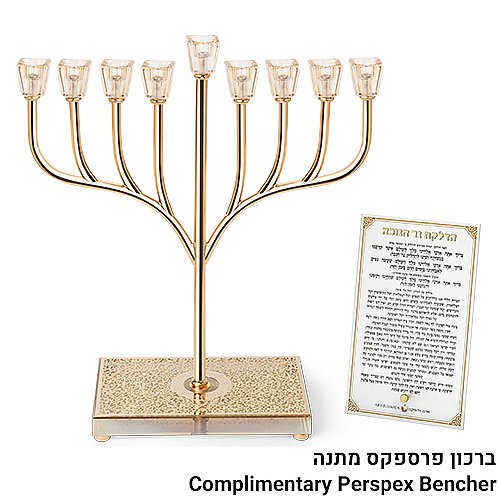 ���� ������ "��� ����" ���� ��� �� ���� ������ ������ 37��