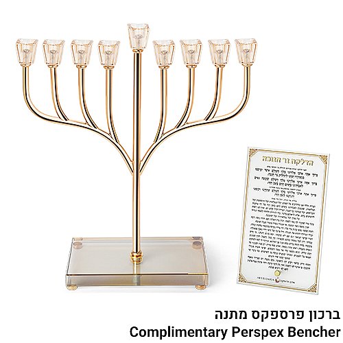 ���� ������ "��� ����" ���� ��� �� ���� ������ 37��