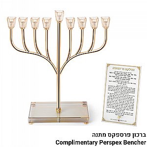 ���� ������ "��� ����" ���� ��� �� ���� ������ 37��