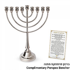 ���� ������ "��� ����" ���� ��� 49��