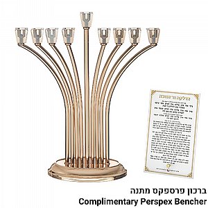 ���� ������ "��� ����" ���� �� ���� ������ ����� ��� 36 �"�