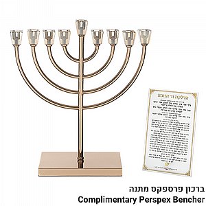 ���� ������ "��� ����" ���� �� ���� ������ 36 �"�